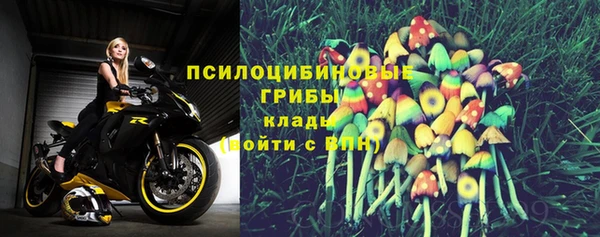 прущие крисы Беломорск