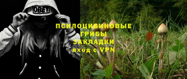 прущие крисы Беломорск