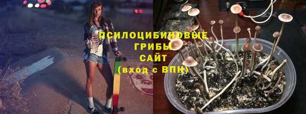 прущие крисы Беломорск